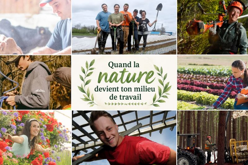 Ton milieu de travail en nature : se former en Estrie